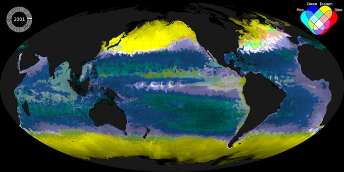 Microbial view of the world