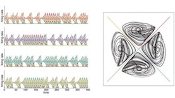 Image showing how the top network produces a rhythmic firing pattern (left), whatever the initial conditions. The circular projection graph (right) reflects that this network always settles into a perfectly periodic pattern.