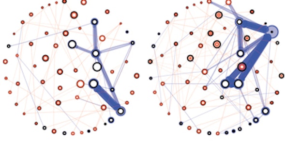Neural Underpinnings from Sabatini's Aging Brain Project