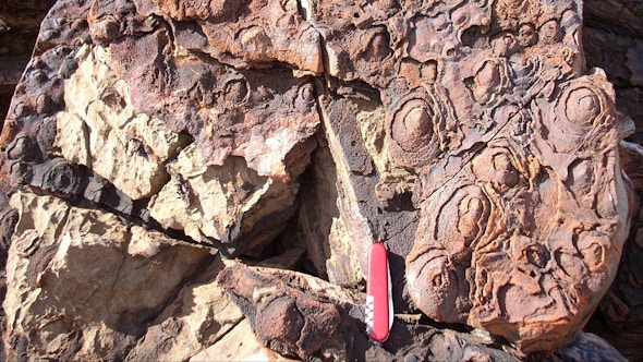 Rock with different circular shapes on it