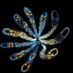 Image of genomic instructions and self-organizing physical mechanisms to embryonic development