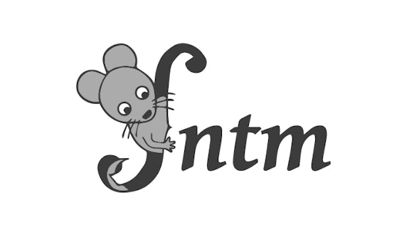Project Image for FNTM