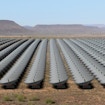 An artist’s illustration of the 1,024 HIRAX dishes in the Karoo Desert in South Africa.