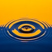 A photograph of what appears to be a drop of water breaking the surface of a pool of water and causing concentric circular ripples to form around the site of the impact.