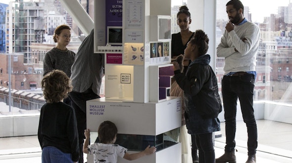 People looking at the smallest mollusk museum