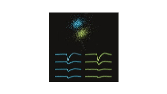 Project Image for MountainSort/MountainLab