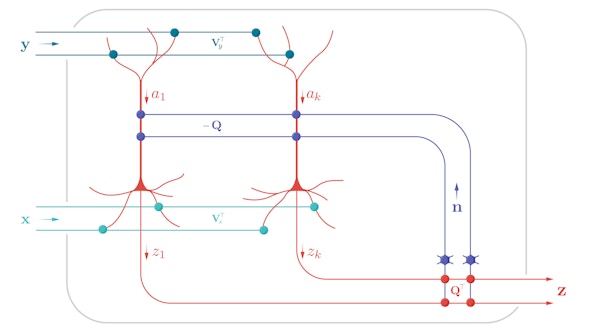 A complex diagram incorporating representations of neurons.