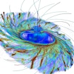 Illustration for the Simons Collaboration on Extreme Electrodynamics of Compact Sources.
