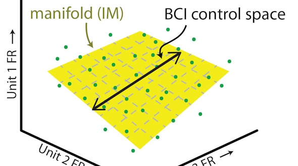A visualization of three-dimensional neural activity with a two-dimensional intrinsic manifold and one-dimensional mapping