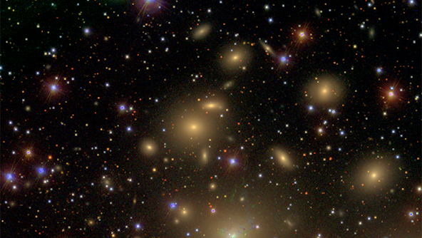 The environment of NGG 1277