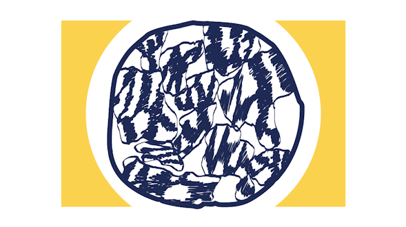 blue neuro round graphic with yellow frames