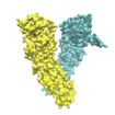 Molecule Hsp90, tinted yellow on the left and blue on the right