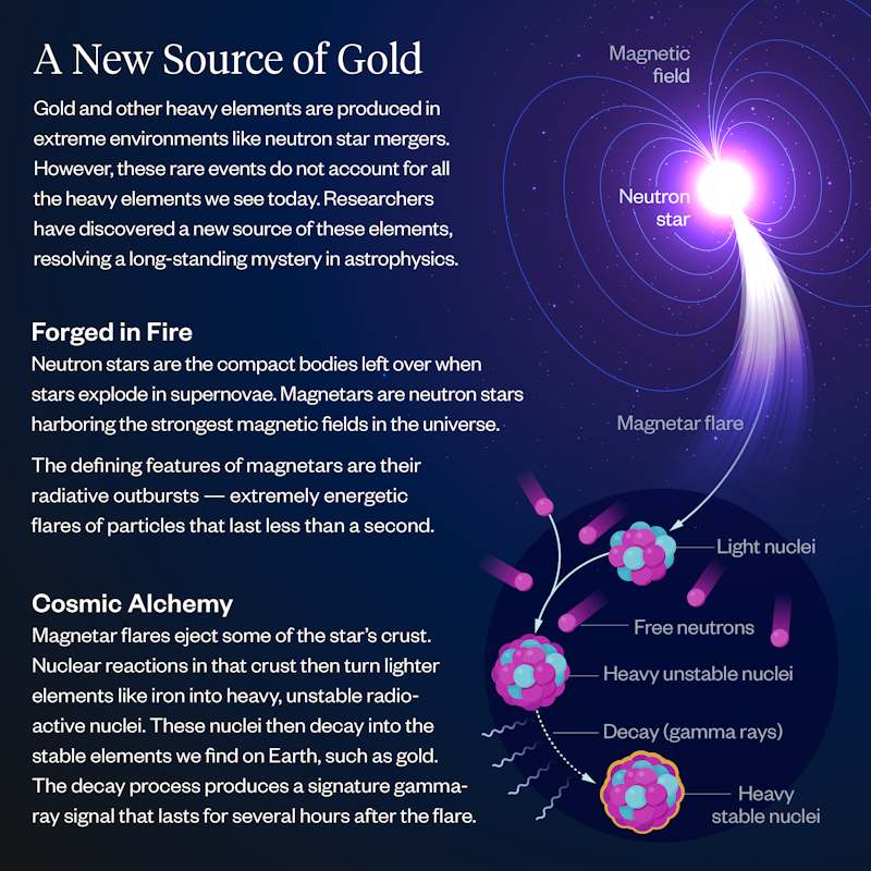 An infographic explaining how flares from stars called magnetars produce heavy elements.