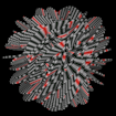 Abstract image of a Calabi-Yau manifold