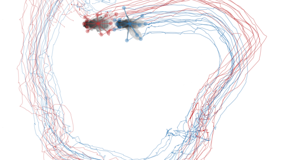 Drosophila trails in a circle