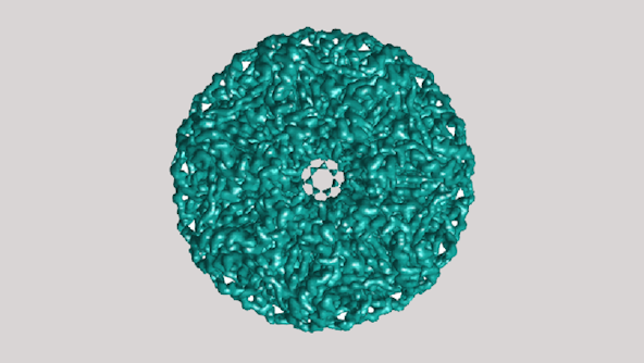 Reconstruction of a symmetric protein from cryo electron microscopy data