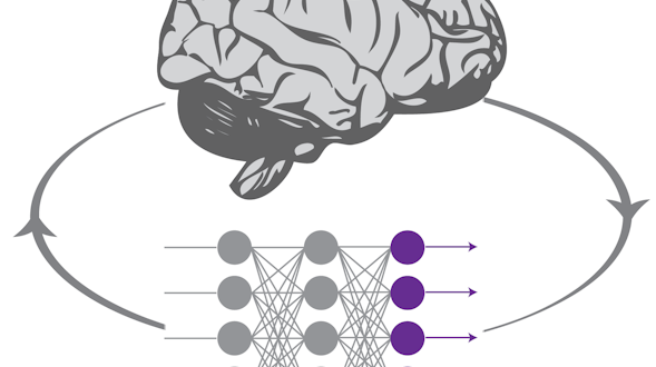 Grey and purple brain and dots