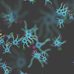 Illustration of biological cells