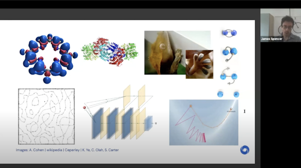Person virtually presenting slideshow with many diagrams