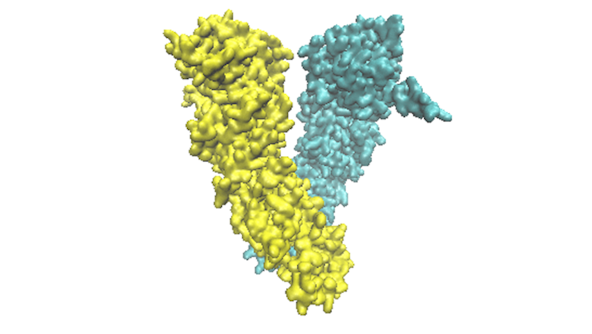 A picture of a 3-D model of a molecule.