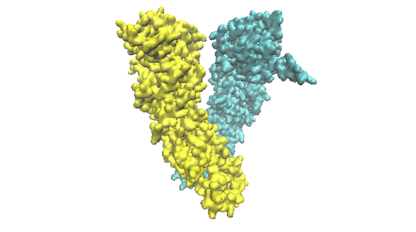 A picture of a 3-D model of a molecule.