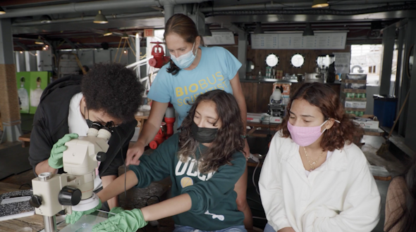 3 Students and a teacher working with microscope